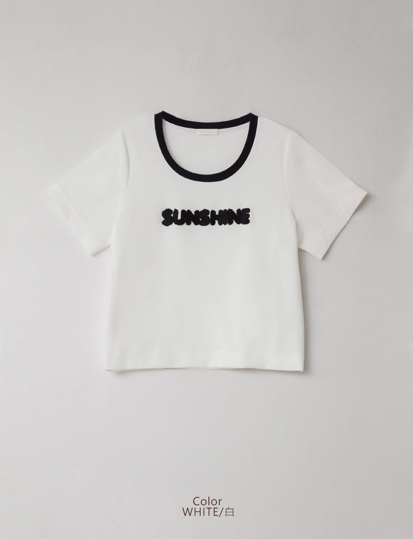 Contrast Fuzzy Embroidery Plus Size Crewneck Tee