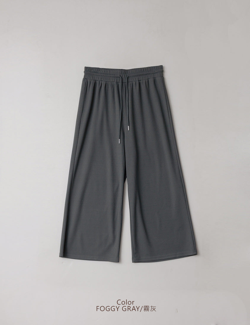 Hip-Contouring Slim Plus Size Wide Leg Pants (Regular)