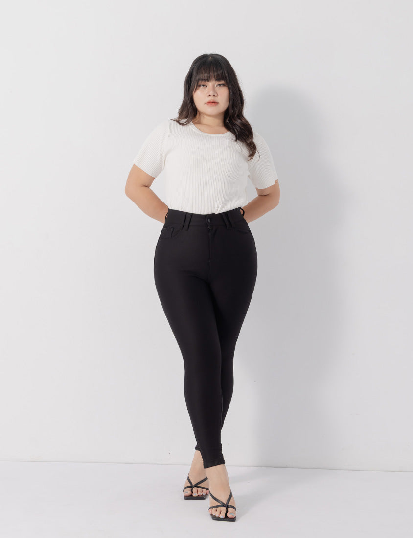 Perfect Proportion Anti-Pilling Plus Size Stretch Pants (Tall Length)