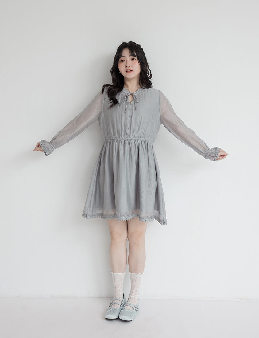 Vintage Lace Cinched Waist Plus Size Mini Dress