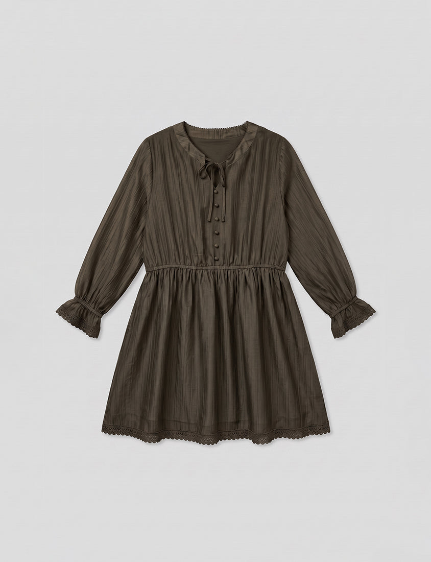 Vintage Lace Cinched Waist Plus Size Mini Dress