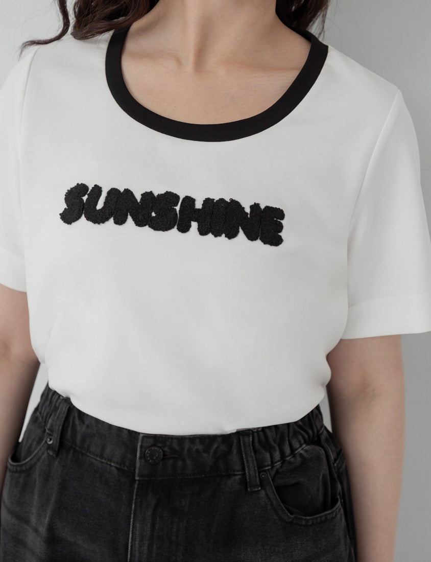 Contrast Fuzzy Embroidery Plus Size Crewneck Tee