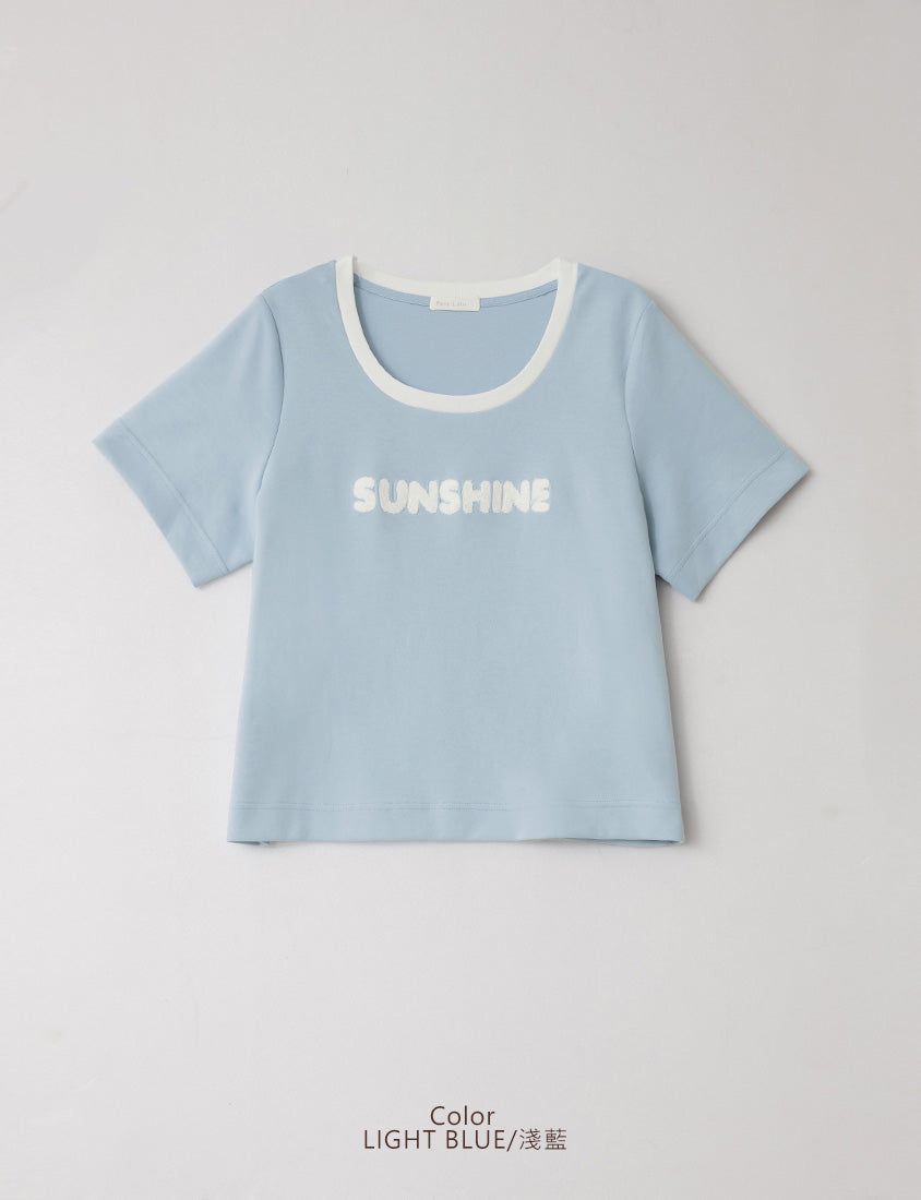 Contrast Fuzzy Embroidery Plus Size Crewneck Tee