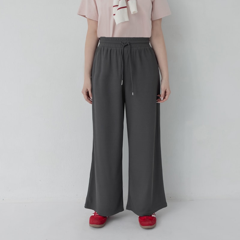 Hip-Contouring Slim Plus Size Wide Leg Pants (Regular)