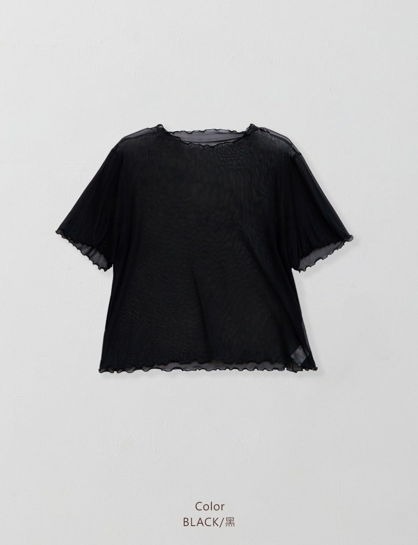 MISS. Ruffle Trim Sheer Plus Size Short Sleeve Top