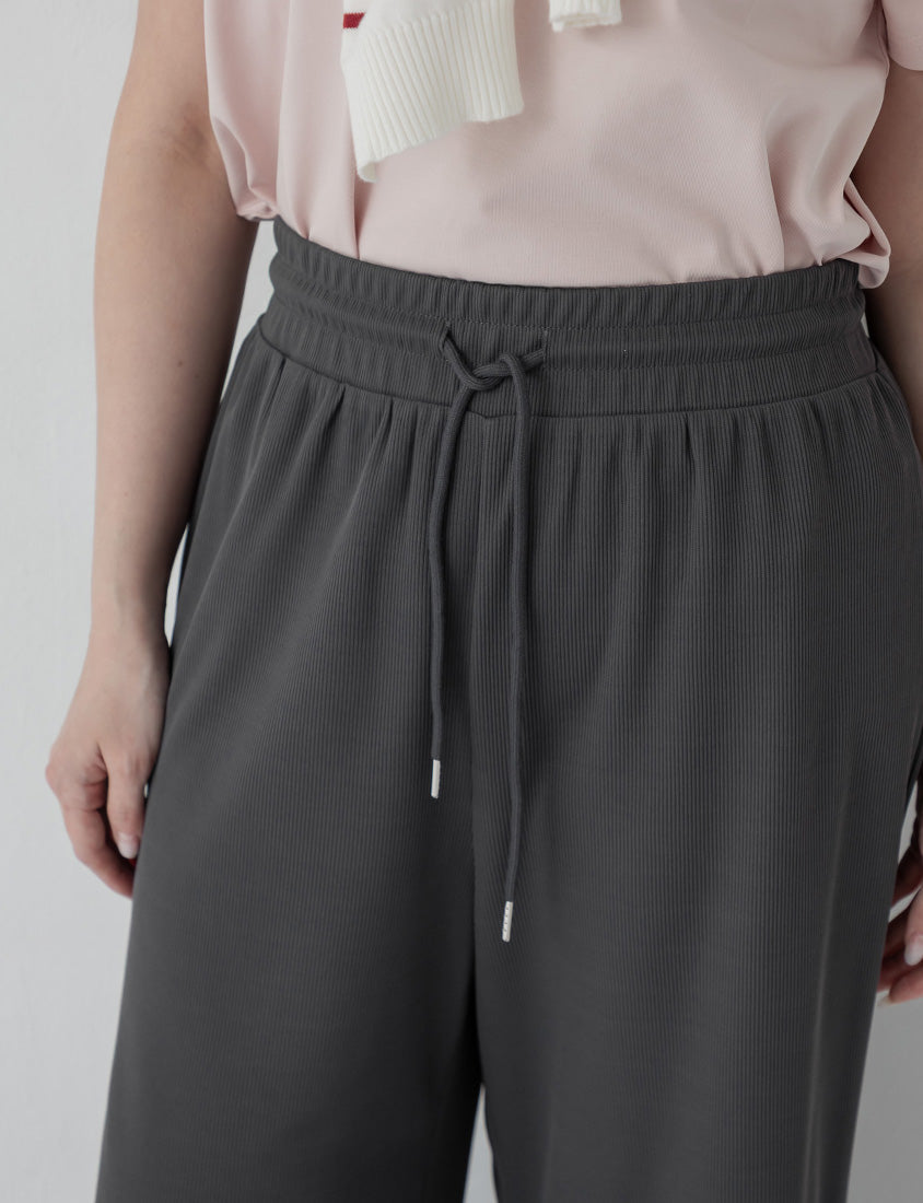 Hip-Contouring Slim Plus Size Wide Leg Pants (Regular)