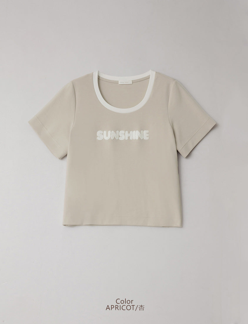 Contrast Fuzzy Embroidery Plus Size Crewneck Tee