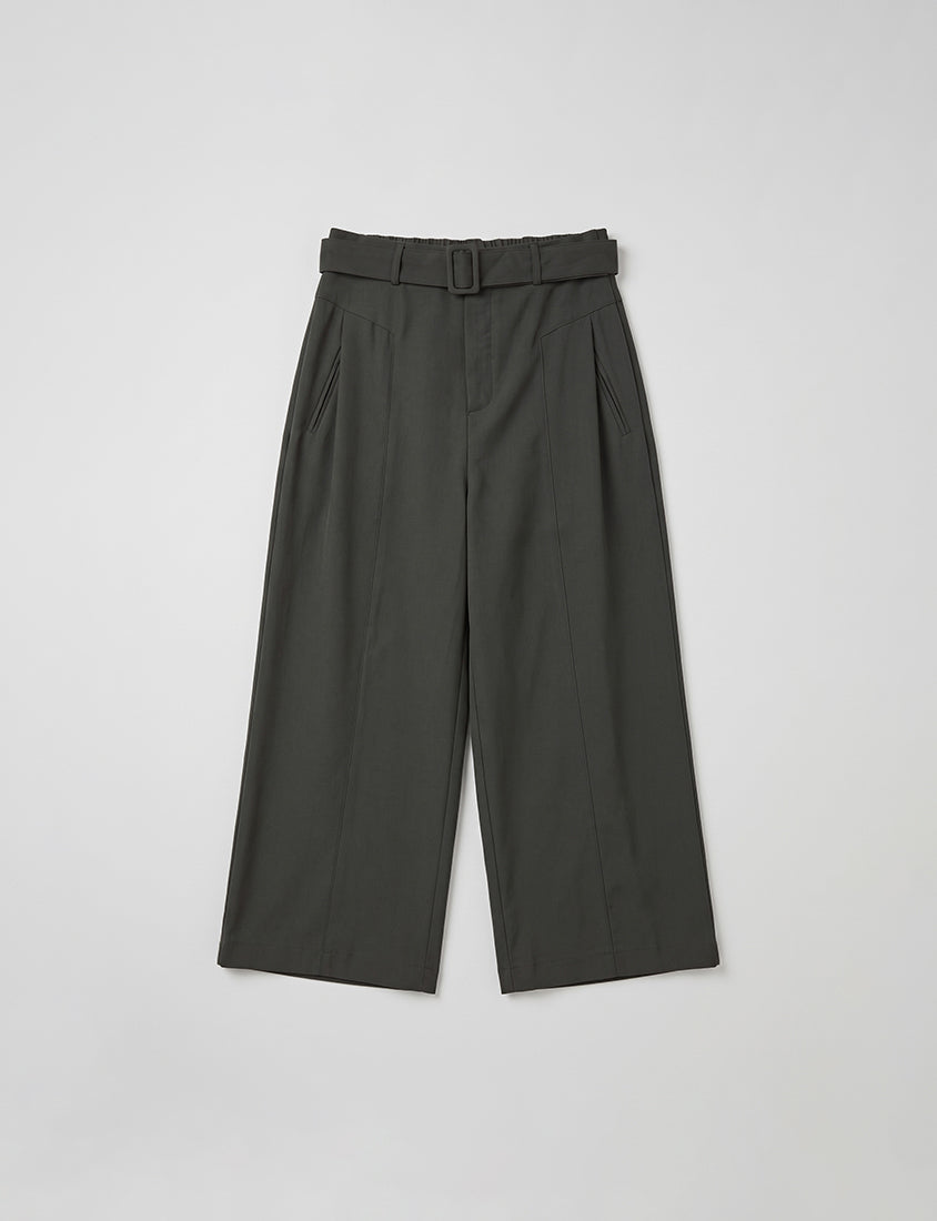 MISS. Tailored Wrinkle-Resistant Plus Size Wide Leg Pants (With Belt)