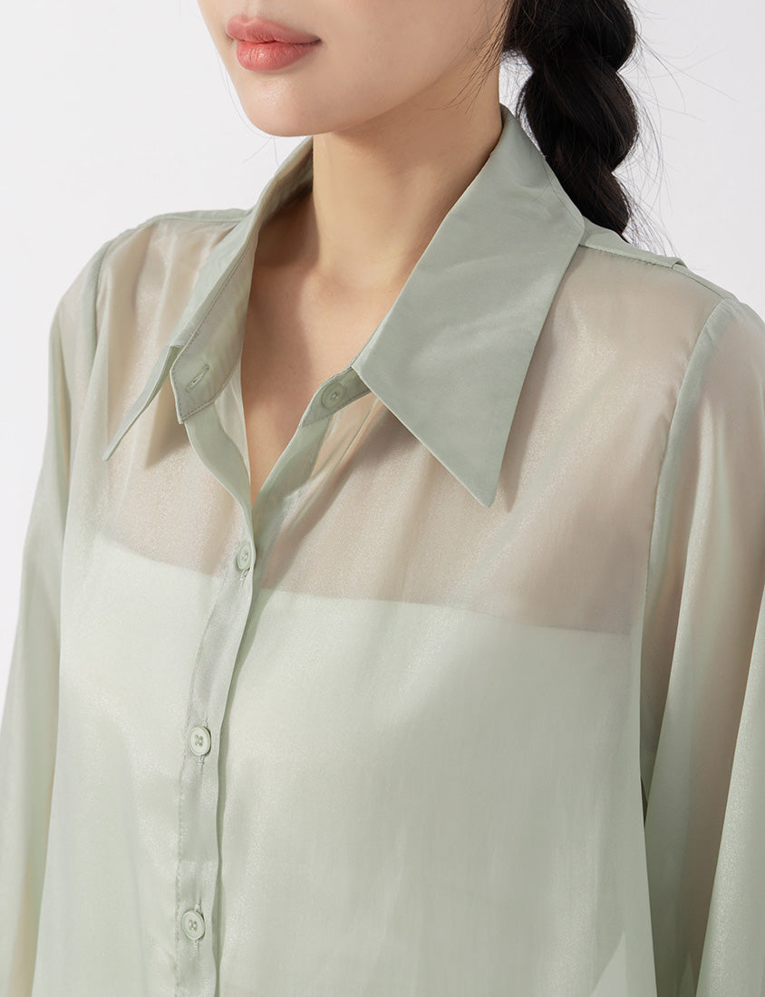 Subtle Sparkle Sheer Chiffon Back Slit Plus Size Shirt